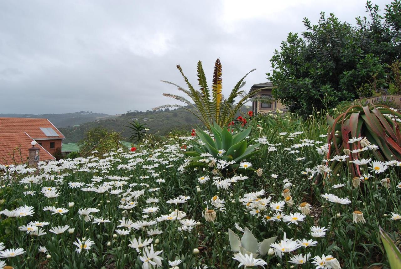 Wilderness Ocean View Cottage Exterior foto